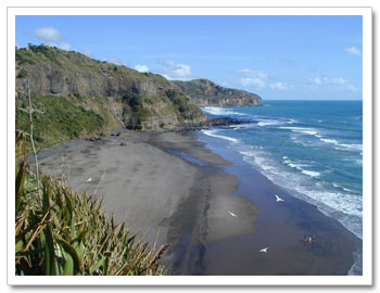 Muriwai Beach, West Auckland